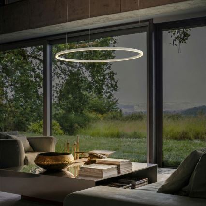 Ideal Lux - Lampadario a sospensione con filo LED dimmerabile ORACLE SLIM LED/28W/230V 4000K diametro 50 cm CRI 90 bianco