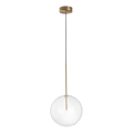 Ideal Lux - Lampadario LED a sospensione con filo EQUINOXE 1xG4/2W/230V diametro 25 cm ottone/limpido