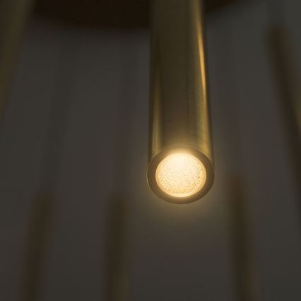 Ideal Lux - Lampadario LED a sospensione con filo FILO LED/25W/230V ottone