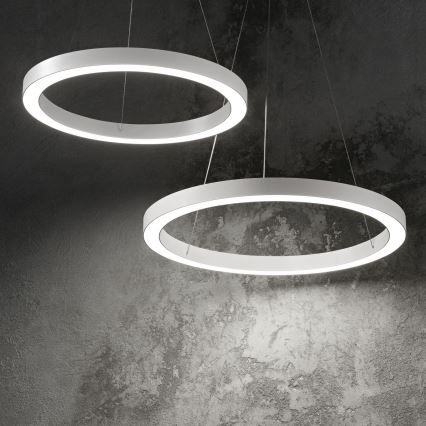 Ideal Lux - Lampadario LED a sospensione con filo ORACLE LED/33W/230V 3000K diametro 60 cm CRI 90 bianco
