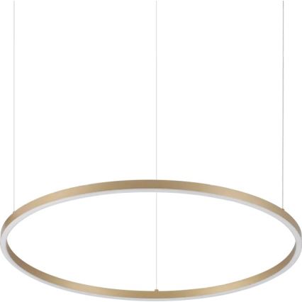 Ideal Lux - Lampadario LED a cavo ORACLE SLIM LED/37W/230V 3000K CRI 90 diam. 70 cm dorato