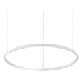 Ideal Lux - Lampadario LED dimmerabile su cavo ORACLE SLIM LED/40W/230V 3000K CRI 90 Ø 70 cm bianco