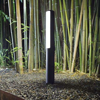 Ideal Lux - Lampe d'extérieur LED ETERE LED/9,5W/230V 3000K 60 cm IRC 90 IP44 anthracite