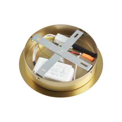 Ideal Lux - LED-Deckenleuchte an Stange EQUINOXE 12xG4/2W/230V d 124 cm Messing/klar