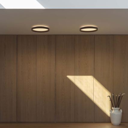 Ideal Lux - LED-Deckenleuchte FLY LED/26W/230V 2700K d 45 cm CRI 90 IP40 schwarz