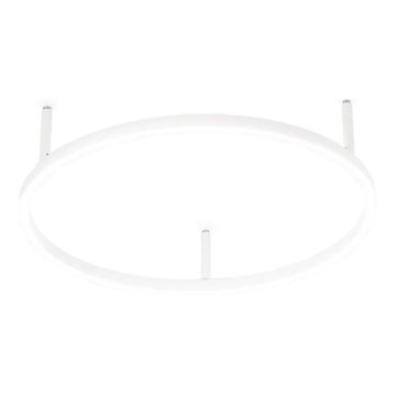 Ideal Lux - LED-Deckenleuchte ORACLE SLIM LED/29W/230V 4000K d 50 cm weiß