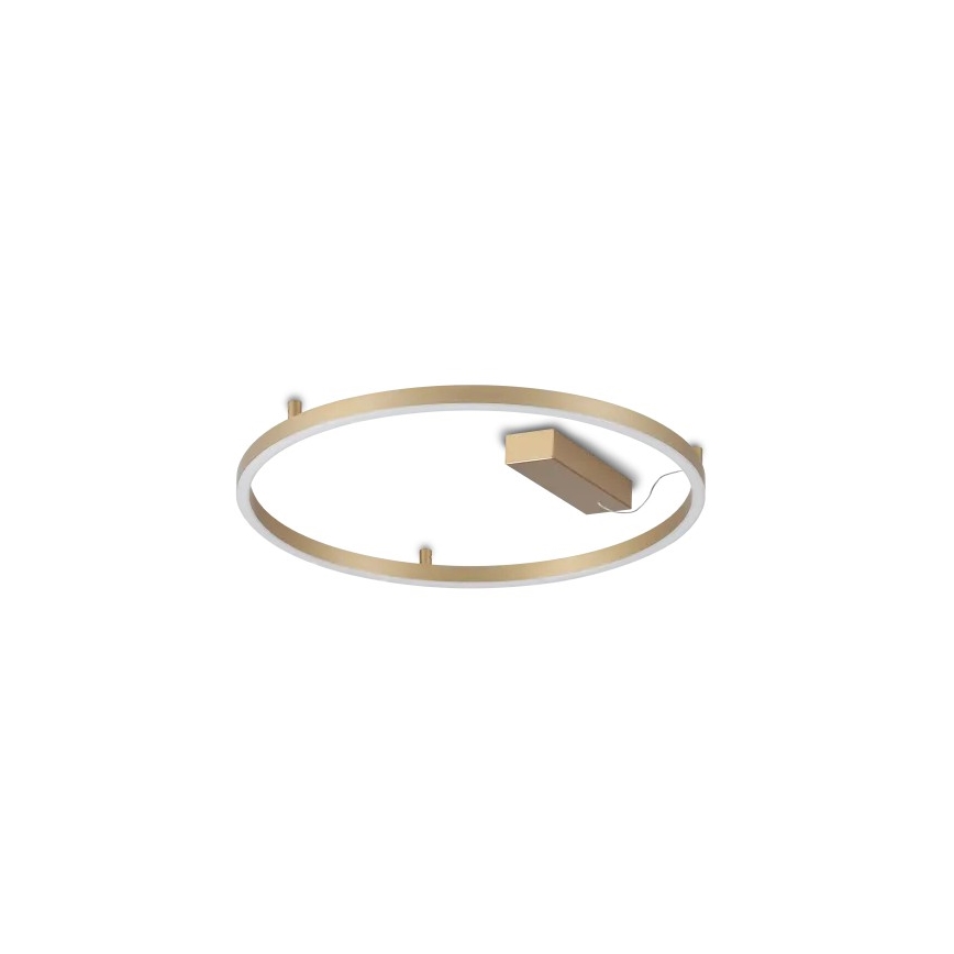 Ideal Lux - LED-Deckenleuchte ORACLE SLIM LED/29W/230V 3000K CRI 90 Ø 50 cm goldfarben