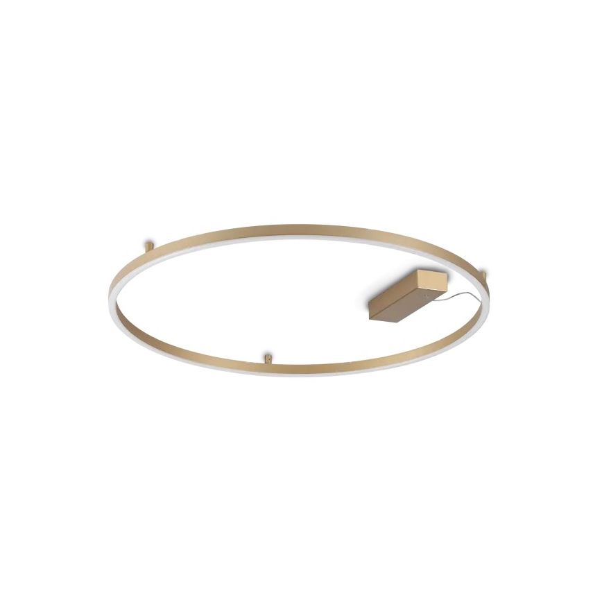 Ideal Lux - LED-Deckenleuchte ORACLE SLIM LED/37W/230V 3000K CRI 90 Ø 70 cm, goldfarben