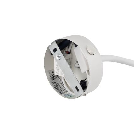Ideal Lux - LED Flexible petite lampe LED/3W/230V blanc