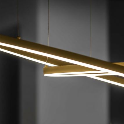 Ideal Lux - LED-Pendelleuchte mit Seilaufhängung ORACLE SLIM LED/37W/230V 3000K CRI 90 Ø 70 cm gold