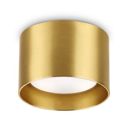 Ideal Lux - LED-Strahler SPIKE 1xGX53/9W/230V golden