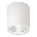 Ideal Lux - Luce Spot da bagno GUN 1xGU10/28W/230V IP44 bianco