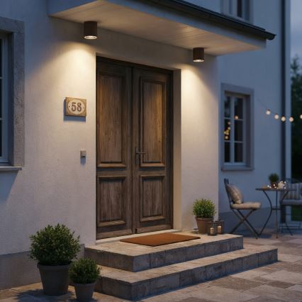 Ideal Lux - Luce Spot da bagno GUN 1xGU10/28W/230V IP55 marrone