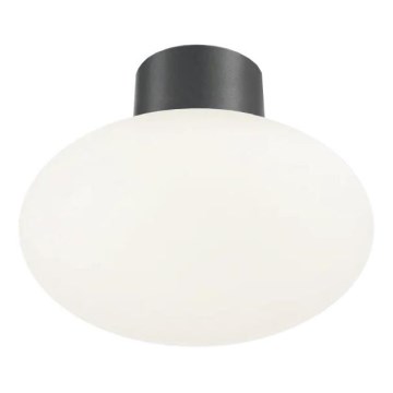 Ideal Lux - Plafoniera da esterno CLIO 1xE27/42W/230V IP44 antracite
