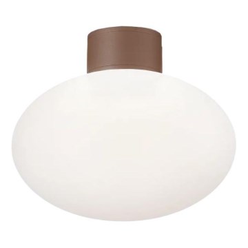 Ideal Lux - Plafoniera da esterno CLIO 1xE27/42W/230V IP44 marrone