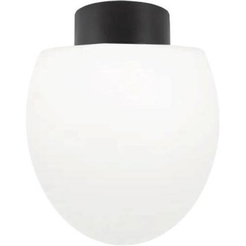 Ideal Lux - Plafoniera da esterno CLIO 1xE27/42W/230V IP44 nera