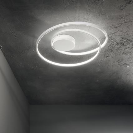 Ideal Lux - Plafoniera LED dimmerabile OZ LED/48W/230V diam. 60 cm CRI 90 bianco