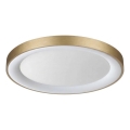 Ideal Lux - Plafoniera LED PLANET LED/29W/230V CRI 90 Ø 60 cm ottone