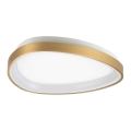 Ideal Lux - Plafonnier GEMINI LED/23W/230V d. 42,5 cm CRI 90 doré