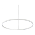 Ideal Lux - Suspension filaire à intensité variable ORACLE SLIM LED/40W/230V 4000K d. 70 cm CRI 90 blanc