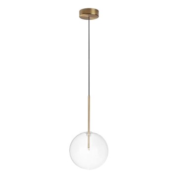 Ideal Lux - Suspension filaire LED EQUINOXE 1xG4/2W/230V d. 20 cm laiton/transparent