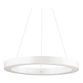 Ideal Lux - Suspension filaire ORACLE LED/28W/230V 3000K d. 50 cm CRI 90 blanc