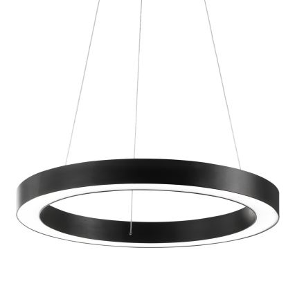 Ideal Lux - Suspension filaire ORACLE LED/28W/230V 3000K d. 50 cm CRI 90 noir