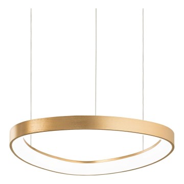 Ideal Lux - Suspension LED sur câble GEMINI LED/36W/230V 2700K Ø 42,5 cm IRC 90 laiton
