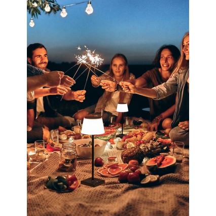 Lampe solaire extérieure à intensité variable avec détecteur LED/4W/5V IP44