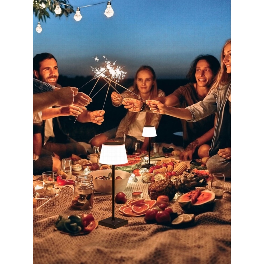 Lampe solaire extérieure à intensité variable avec détecteur LED/4W/5V IP44