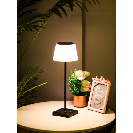 Lampe solaire extérieure à intensité variable avec détecteur LED/4W/5V IP44