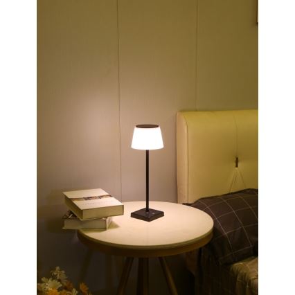 Lampe solaire extérieure à intensité variable avec détecteur LED/4W/5V IP44