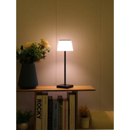 Lampe solaire extérieure à intensité variable avec détecteur LED/4W/5V IP44