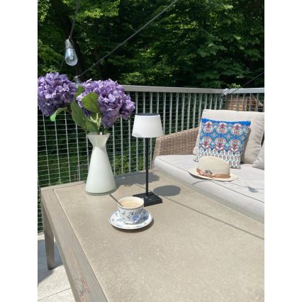 Lampe solaire extérieure à intensité variable avec détecteur LED/4W/5V IP44