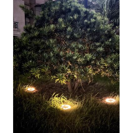 LOT 4xLED Éclairage solaire extérieur avec détecteur 0,048W/2V IP68
