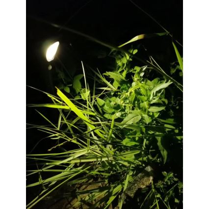 Lampada solare LED con sensore LED/1W/3,7V 6000K IP65