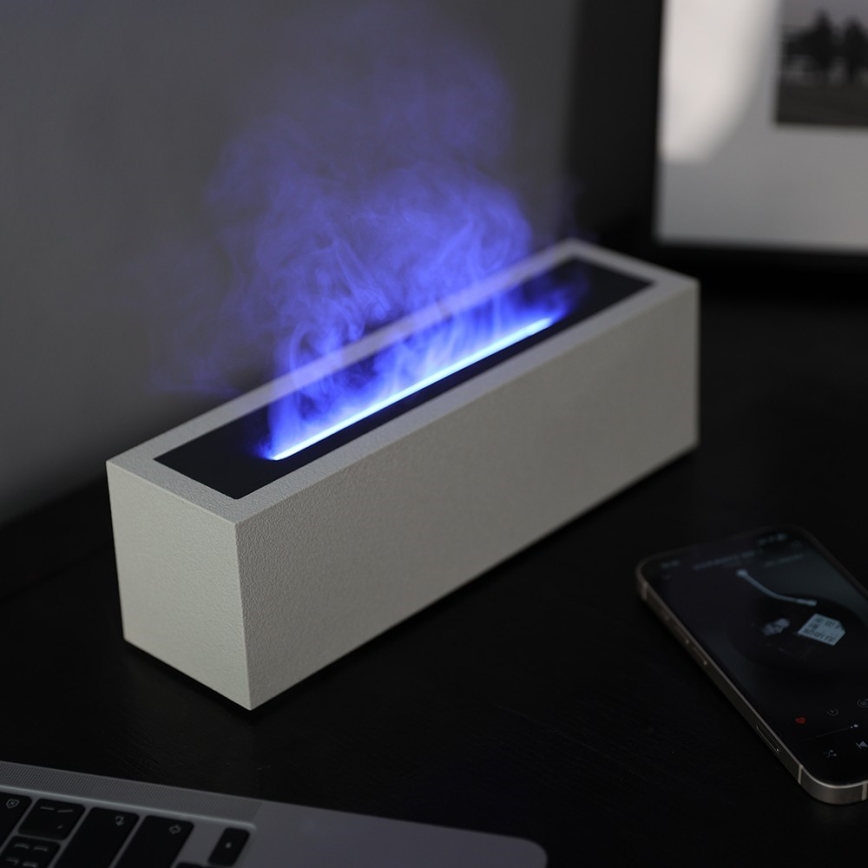LED Diffuseur d'arômes et humidificateur d'air avec fausse flamme LED/10W/5V
