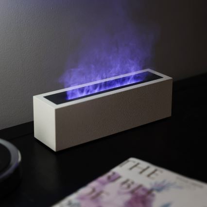 LED Diffuseur d'arômes et humidificateur d'air avec fausse flamme LED/10W/5V