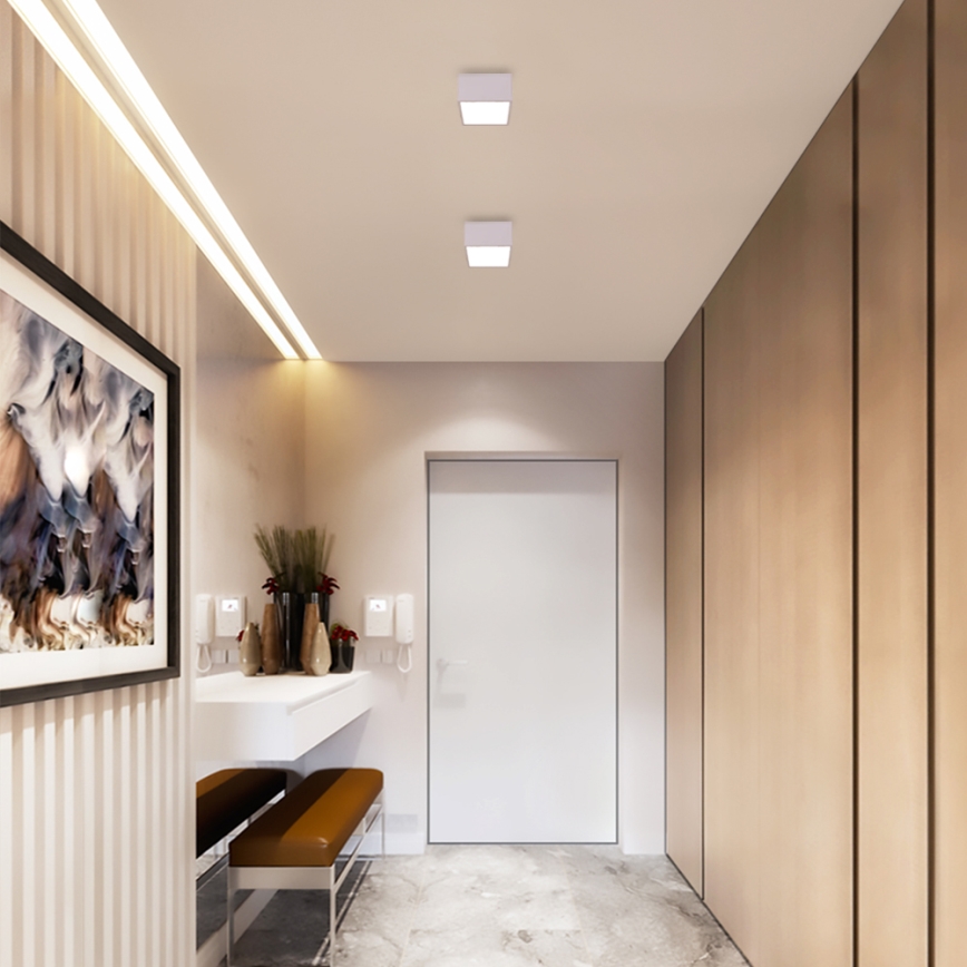 Immax NEO 07072L-15 - Luminaire LED à intensité variable CANTO LED/12W/230V blanc Tuya