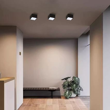 Immax Neo 07074L-15BD - Set 2x Plafoniera LED dimmerabile CANTO 2xLED/12W/230V + telecomando Tuya