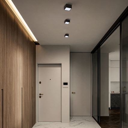 Immax Neo 07074L-15BD - Set 2x Plafoniera LED dimmerabile CANTO 2xLED/12W/230V + telecomando Tuya