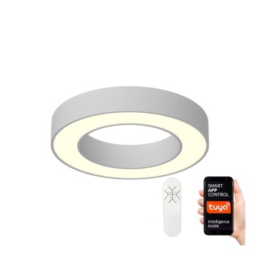 Immax NEO 07095L - Plafonnier à intensité variable PASTEL LED/52W/230V 60 cm Tuya + télécommande
