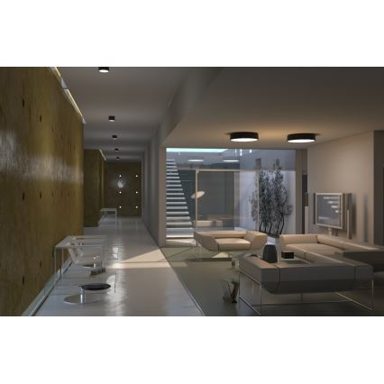 Immax NEO 07143-GR60 - Luce LED dimmerabile RONDATE LED/50W/230V Tuya grigia + TC