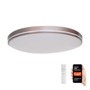 Immax NEO 07150-C51 - Plafoniera LED dimmerabile NEO LITE AREAS LED/48W/230V Tuya Wi-Fi bianco + telecomando