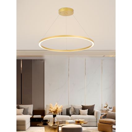 Immax NEO 07159-G80 - Suspension filaire à intensité variable FINO LED/60W/230V Tuya doré + télécommande