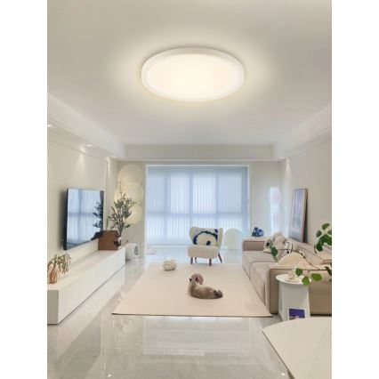 Immax NEO 07169-W60 - LED RGB+CCT Plafoniera con dimmer NEO LITE TUDO 65W/230V 2700-6500K Wi-Fi Tuya + telecomando bianco