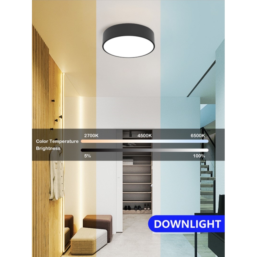 Immax NEO 07200L - Plafonnier à intensité variable RONDATE LED/18W/230V 3000-6000K d. 25 cm noir Tuya + télécommande