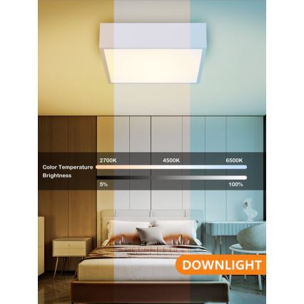 Immax NEO 07238L - Plafoniera LED dimmerabile CANTO LED/22W/230V bianco Tuya + telecomando