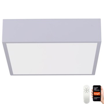 Immax NEO 07238L - Plafonnier à intensité variable LED CANTO LED/22W/230V blanc Tuya + télécommande