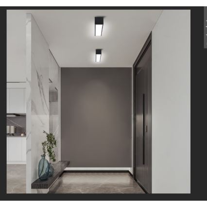 Immax NEO 07254L - Plafoniera LED dimmerabile NEO LITE LUNGO LED/20W/230V 3000-6000K Wi-Fi Tuya nero + telecomando